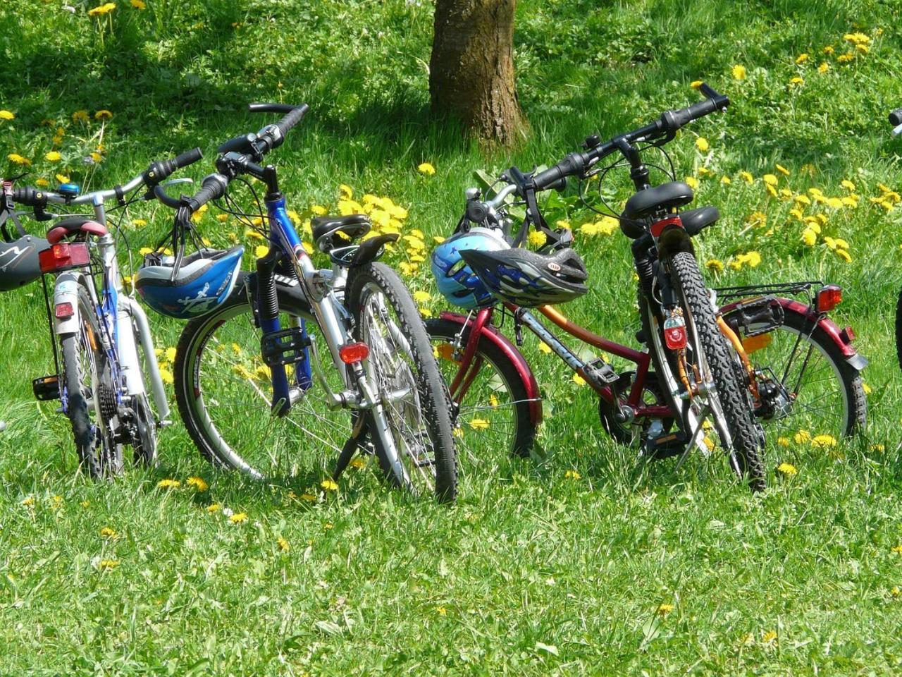 Borgo Carida - Green Family Holidays Zaccanopoli Eksteriør bilde